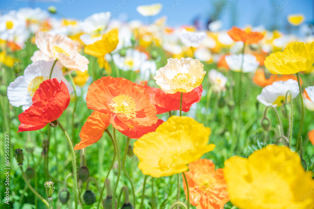 GW期間の休業日について