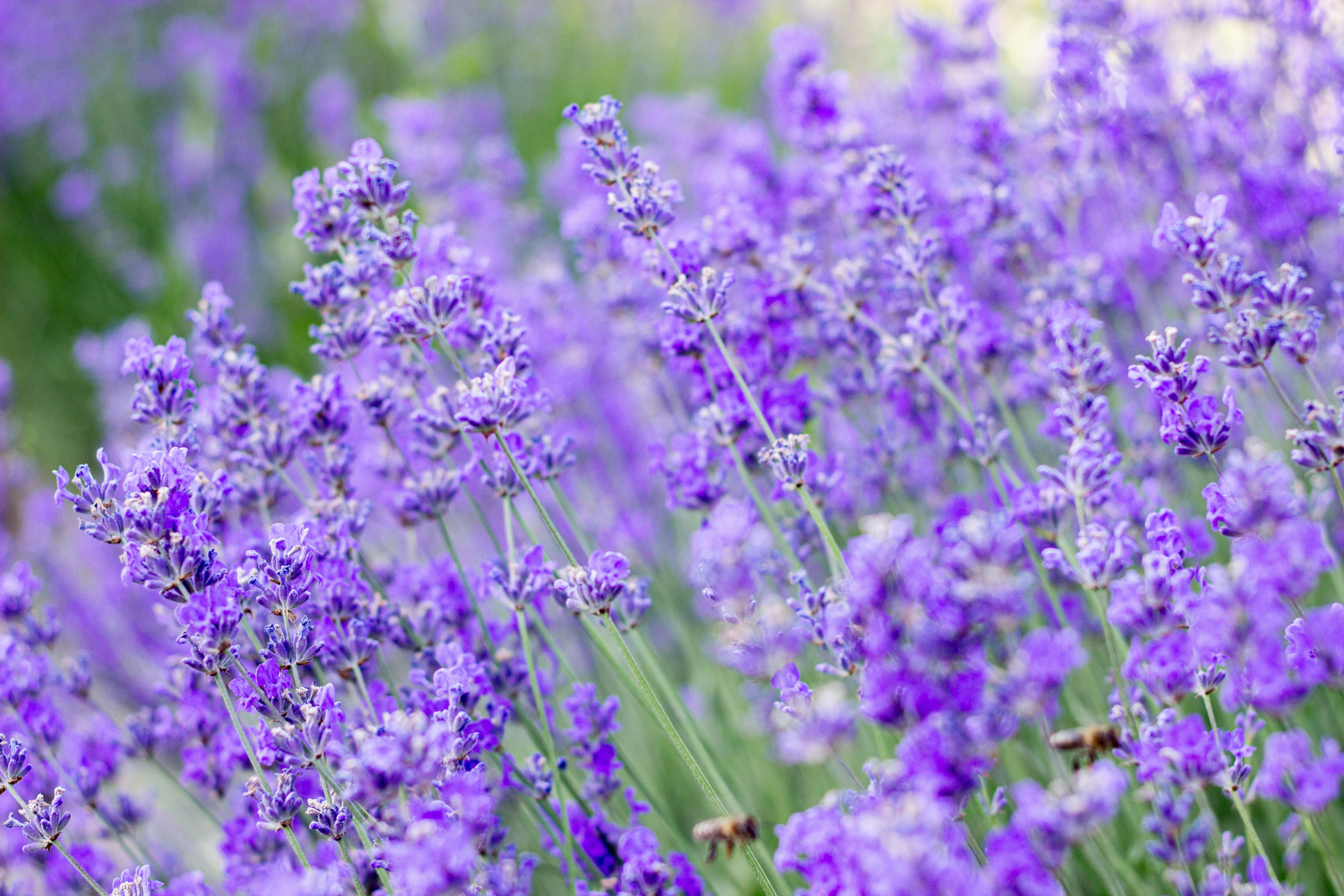 GW期間の休業日について アイキャッチ画像