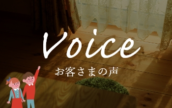 voice