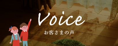 voice